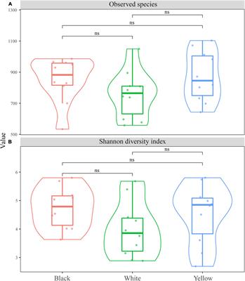 The Fungal Communities and Flavor Profiles in Different Types of High-Temperature Daqu as Revealed by High-Throughput Sequencing and Electronic Senses